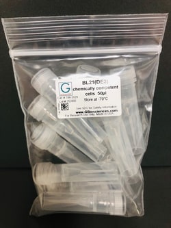 G-Biosciences BL21 (DE3) Chemically Competent Cells